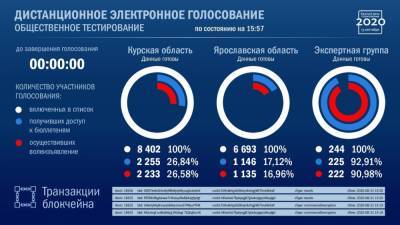 Независимые наблюдатели смогут проконтролировать процесс дистанционного голосования - afanasy.biz - Россия