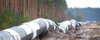 Клаус Эрнст - Бундестаг считает, что цены на газ вырастут, если «СП-2» остановится - runews24.ru - Германия