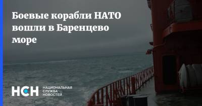 Боевые корабли НАТО вошли в Баренцево море - nsn.fm - Россия - Северный Флот