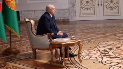 Александр Лукашенко - Роман Бабаян - Лукашенко рассказал о чувстве обиды из-за протестов - iz.ru - Москва - Белоруссия