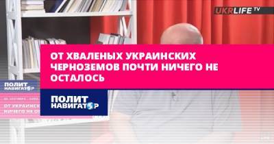 Дмитрий Джангиров - От хваленых украинских черноземов почти ничего не осталось - politnavigator.net - Украина