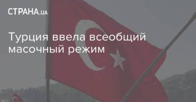 Турция ввела всеобщий масочный режим - strana.ua - Турция