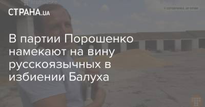 Владимир Балух - Ирина Геращенко - В партии Порошенко намекают на вину русскоязычных в избиении Балуха - strana.ua - Киев