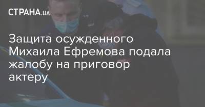 Михаил Ефремов - Сергей Захаров - Эльман Пашаев - Защита осужденного Михаила Ефремова подала жалобу на приговор актеру - strana.ua - Москва - Россия - Украина