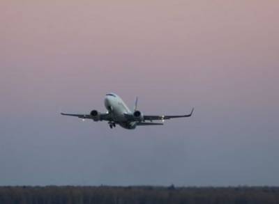 В Японии самолет впервые совершил вынужденную посадку из-за пассажира без маски - news.am - Япония - Осака