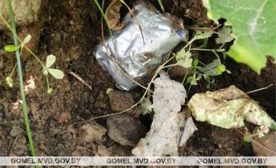 25-летний гомельчанин распространял психотропы и теперь задержан - gomel.today - Гомель