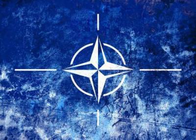 В НАТО обнаружен предатель - argumenti.ru - Италия - Германия - Франция