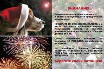 Жителей Ярославля просят не брать собак на салюты - yar.mk.ru - Ярославль