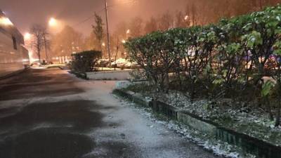 Михаил Леус - Синоптики анонсировали похолодание в Москве после Нового года - polit.info - Москва