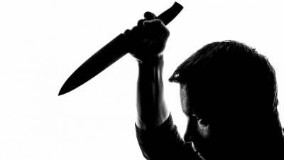 Аглая Чайковская - Охранник гостиницы в Москве напал с ножом на постояльца - politros.com - Москва