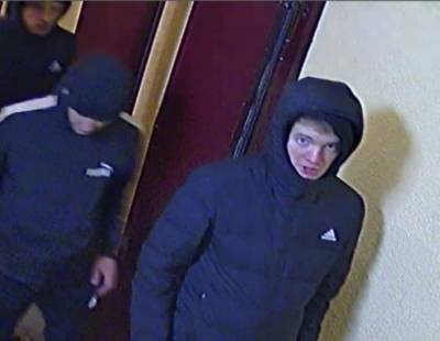 В Ульяновске поймали вандалов, которые громили город - 7info.ru - Ульяновск