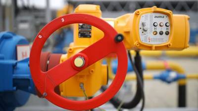Александр Вучич - Компания-оператор оценила объёмы поставок по газопроводу через Сербию - russian.rt.com - Венгрия - Болгария - Сербия