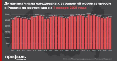 В России за сутки выявили 27039 новых случаев COVID-19 - profile.ru - Москва - Россия - Санкт-Петербург - Московская обл.