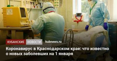 Коронавирус в Краснодарском крае: что известно о новых заболевших на 1 января - kubnews.ru - Анапа - Сочи - Краснодарский край - Краснодар - Новороссийск - Геленджик - Павловск - район Ейский - Северск - Лабинск - Тимашевск