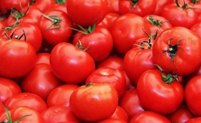 ABC (Испания): какие факторы влияют на вкус помидоров? - inosmi.ru - Испания