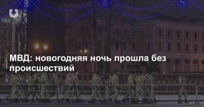 МВД: новогодняя ночь прошла без происшествий - news.tut.by - Минск