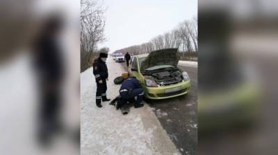 Воронежский пенсионер мог встретить Новый год на трассе из-за поломки машины - vestivrn.ru - Воронежская обл.