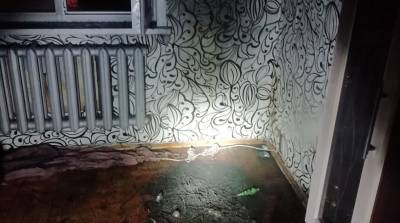 В Орше из-за короткого замыкания гирлянды загорелась квартира - belta.by - Минск - Витебск - Орша