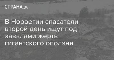 В Норвегии спасатели второй день ищут под завалами жертв гигантского оползня - strana.ua - Норвегия - Швеция