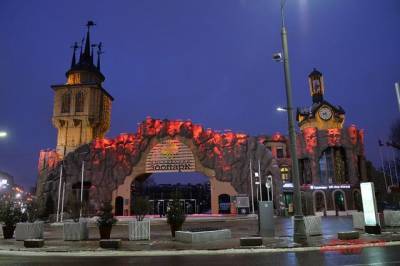 Светлана Акулова - В Московском зоопарке рассказали, как животные провели новогоднюю ночь - aif.ru