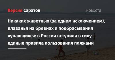 Никаких животных (за одним исключением), плаванья на бревнах и подбрасывания купающихся: в России вступили в силу единые правила пользования пляжами - nversia.ru