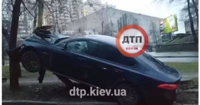 Здравствуй, Новый год!: В Киеве автомобиль "Ягуар" повис на столбе (видео) - focus.ua - Киев