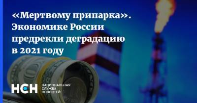 Анатолий Попов - «Мертвому припарка». Экономике России предрекли деградацию в 2021 году - nsn.fm