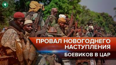 Новогоднее наступление боевиков в ЦАР обернулось полным разгромом — корреспонденты ФАН - riafan.ru
