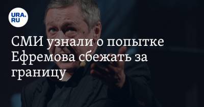 Михаил Ефремов - Эльман Пашаев - СМИ узнали о попытке Ефремова сбежать за границу - ura.news - Москва - Латвия