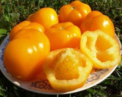 Сорта пустотелых томатов (для фаршировки) - skuke.net - Болгария