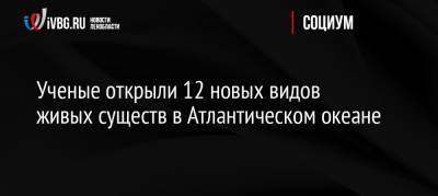 Ученые открыли 12 новых видов живых существ в Атлантическом океане - ivbg.ru - Россия