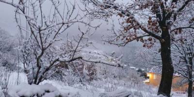 На Корсику обрушились мощные снегопады (ФОТО, ВИДЕО) - lenta.ua - Испания