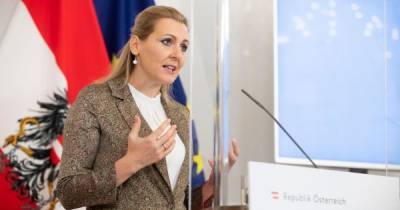 В Австрии министр труда ушла в отставку из-за обвинений в плагиате - tsn.ua - Австрия