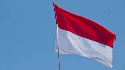 Иностранцев в упавшем индонезийском самолете не было - gazeta.ru - Индонезия - Джакарта - Jakarta