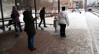 В Ярославле в январе изменятся маршруты общественного транспорта - progorod76.ru - Ярославль
