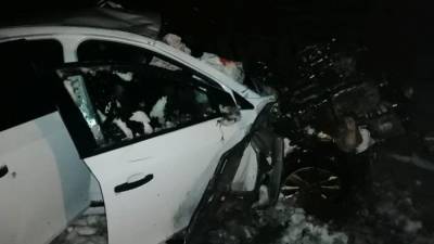 Олег Никитин - Водитель и 12-летний ребенок погибли при ДТП под Брянском - nation-news.ru - Брянск
