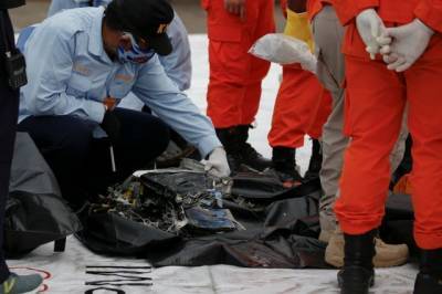 Спасатели нашли черные ящики разбившегося индонезийского самолета - aif.ru - Индонезия - Джакарта
