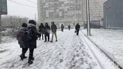 Михаил Леус - Петербуржцев предупредили об аномально холодной неделе после праздников - nation-news.ru - Санкт-Петербург