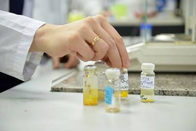 Бергамот назвали продуктом для борьбы с раковыми клетками - lenta.ru