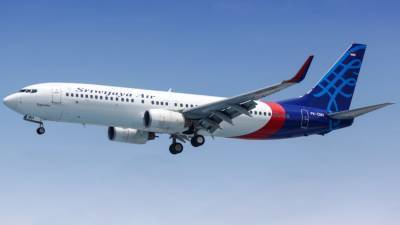 Олег Никитин - Эксперт назвал возможную причину крушения индонезийского Boeing 737-500 - nation-news.ru - Джакарта
