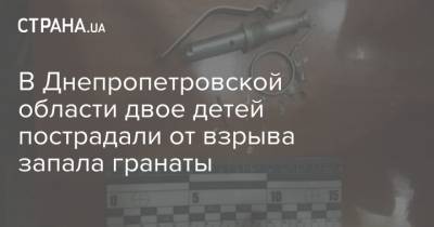 В Днепропетровской области двое детей пострадали от взрыва запала гранаты - strana.ua - Днепропетровская обл.