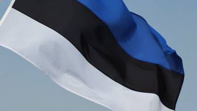 Хенн Пыллуаас - Главу парламента Эстонии возмутила идея референдума за присоединение к России - nation-news.ru - Эстония