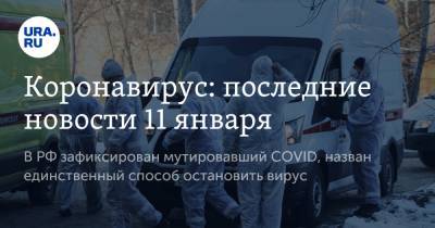 Коронавирус: последние новости 11 января. В РФ зафиксирован мутировавший COVID, назван единственный способ остановить вирус - ura.news - США - Бразилия - Ухань