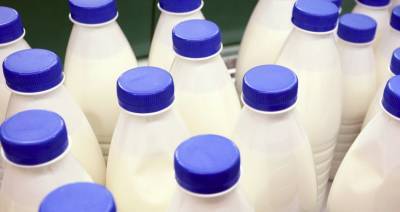 Валовое производство молока по сравнению с 2019 г. выросло на 5,6 % - produkt.by - район Оршанский
