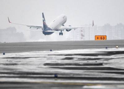 Аналитики назвали самые популярные маршруты по России в январе - m24.ru - Москва - Санкт-Петербург - Сочи - Краснодар - Симферополь - Уфа - Нижний Новгород - Махачкала - Калининград - Ростов-На-Дону - Минеральные Воды