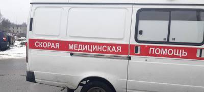 Михаил Охлопков - В Карелии госпитализировали 673 больных коронавирусом - stolicaonego.ru - республика Карелия