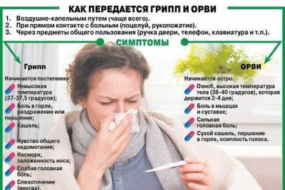 Костромские новогодья: ОРВИ короновирусом вышибают - kostroma.mk.ru - Кострома