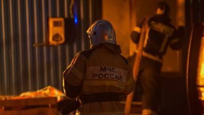 Константин Салаев - Пожарные нашли 26 мертвых собак в одной из петербургских квартир - nation-news.ru - Санкт-Петербург