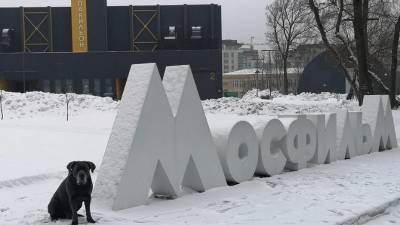 В шоу на Первом канале принял участие пёс-рекордсмен из Воронежа - gorcom36.ru - Москва - Воронеж