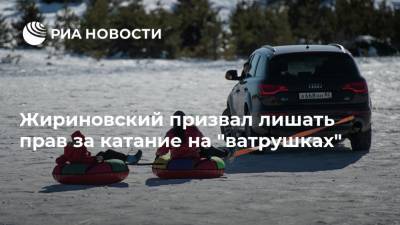 Владимир Жириновский - Жириновский призвал лишать прав за катание на "ватрушках" - ria.ru - Москва
